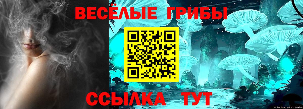 Галлюциногенные грибы ЛСД Краснокаменск